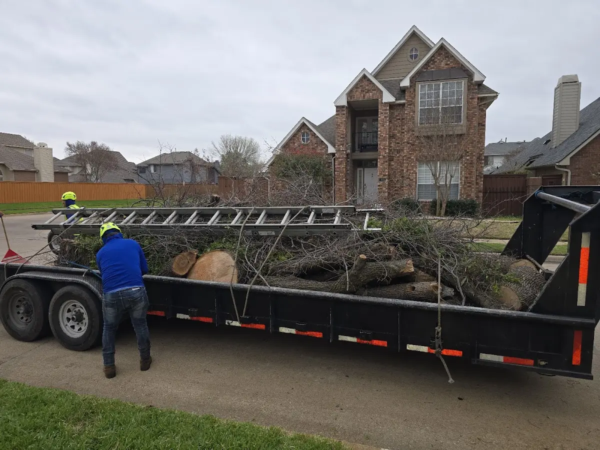 Expert Lot Clearing with proper safety equipment in Rudd